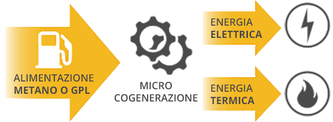 micro